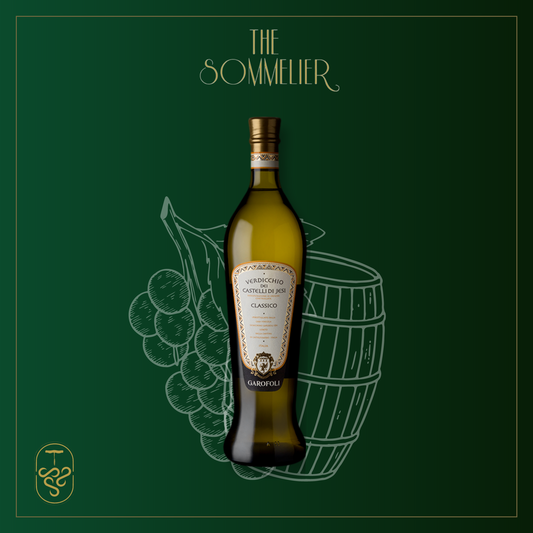 2020, Anfora Verdicchio by Garofoli